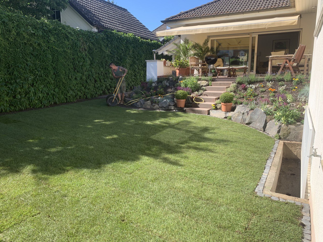 Terrasse, Bepflanzung & Rollrasen